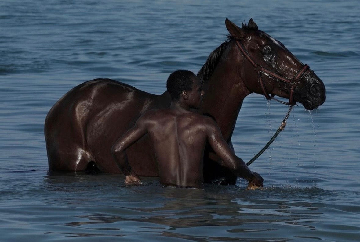 Welcome to 2026, Fire Horse!