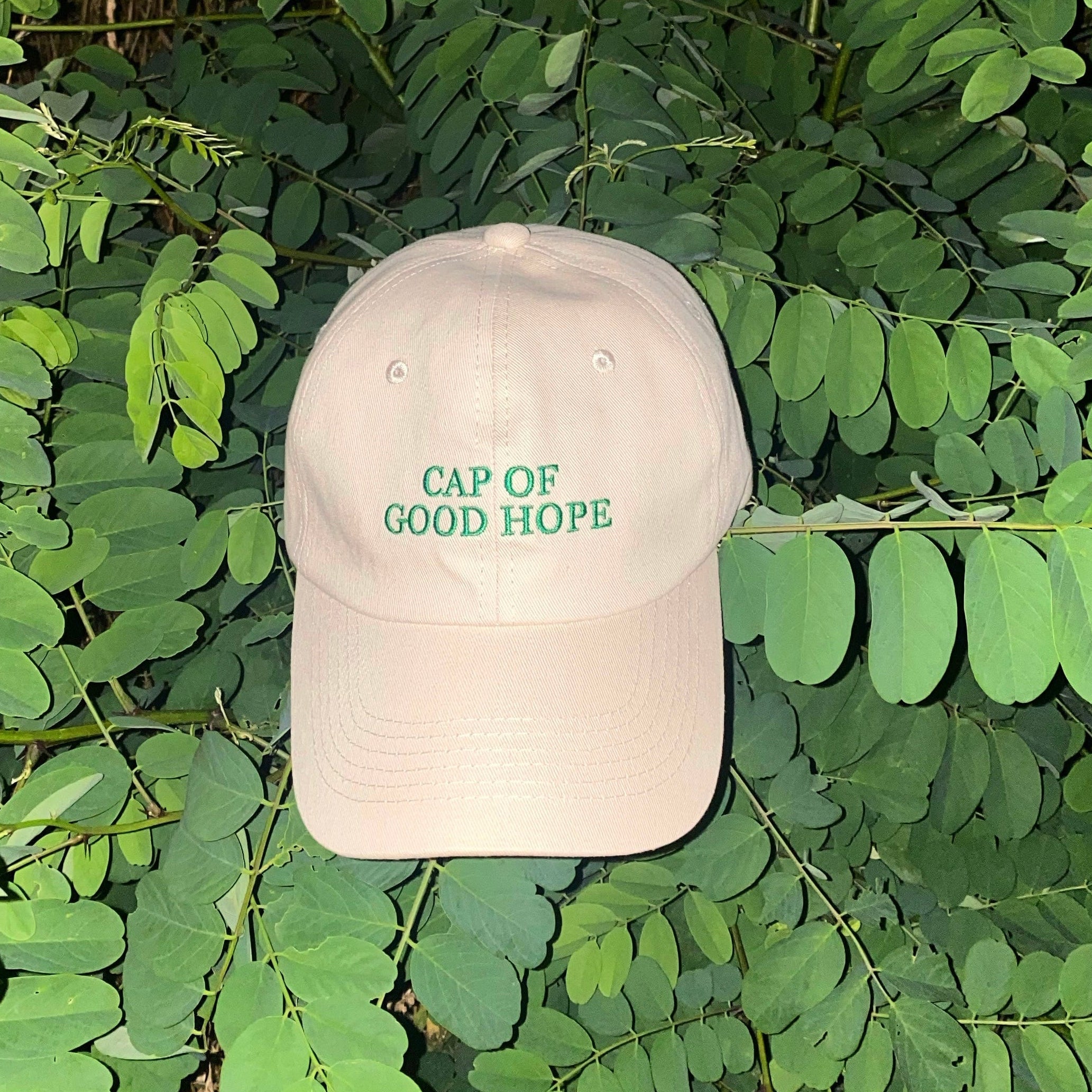 THE CAP of Good Hope